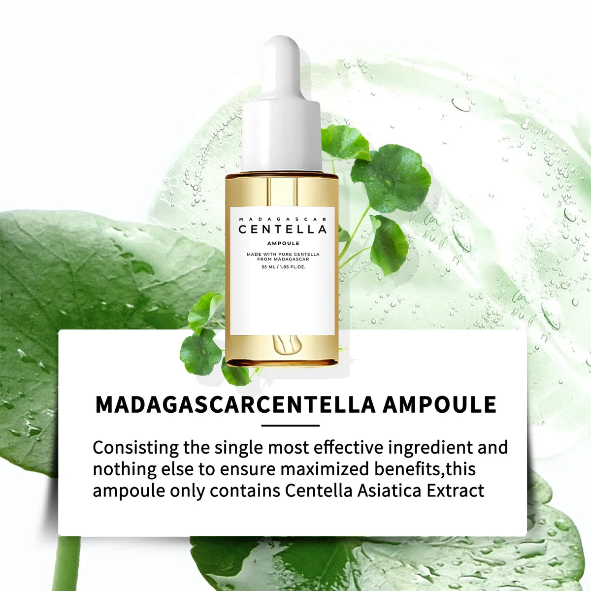 Madagascar Centella Ampoule 55ml – Pure Centella Asiatica Extract for Intense Hydration, Calming Redness & Sensitive Skin Care