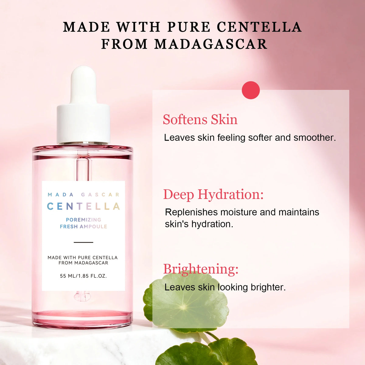 Madagascar Gotu Kola Calming Essence 55ml - For Sensitive & Acne-Prone Skin, Reduces Breakouts & Provides Deep Hydration.